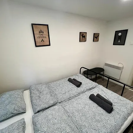 Miko Next To Castle District *