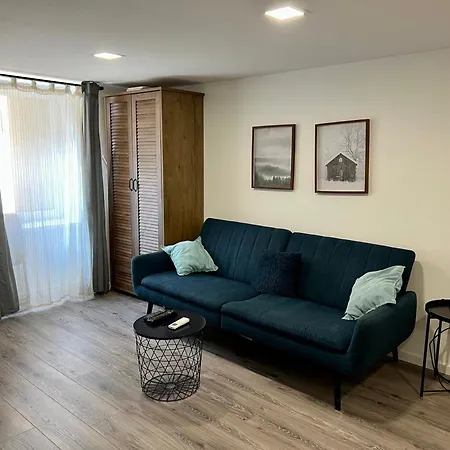 Miko Next To Castle District